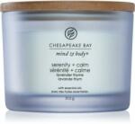 Chesapeake Bay Serenity & Calm 312 g