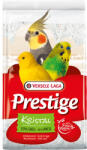 Versele-Laga Versele-Laga Krystal Shell homok 5 kg