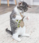 TRIXIE Karton/kender cicajáték 13cm Trixie 45661