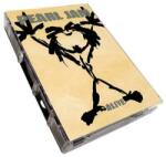Pearl Jam Alive