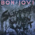 Bon Jovi Slippery When Wet - bakelitfutar