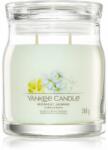 Yankee Candle Signature Midnight Jasmine 368 g