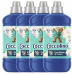 Coccolino Rinse concentrat Water Lily & Pink Grapefruit 204 wash 4x1275ml (8720181409691)