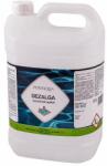 Pontaqua Bazin algeicid Dezalga 5 litri (AGL350 - AGL350)