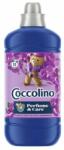 Coccolino Rinse Concentrat de clătire Purple Orchid & Blueberries 51 spălări 1275ml (8720181409714)
