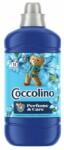 Coccolino Floarea pasiunii și bergamota Concentrat de clătire 51 spălări 1275ml (8720181409738)