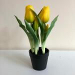 Kreatív Cserepes tulipán sárga élethű nagy virágú