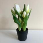 Kreatív Cserepes tulipán fehér élethű nagy virágú