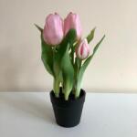 Kreatív Cserepes tulipán világos rózsaszín élethű nagy virágú