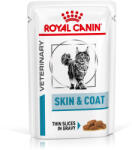 Royal Canin Skin & Coat Formula 24x85 g