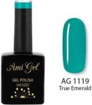 Ami Gel Oja Semipermanenta - Multi Gel Color - The One True Emerald AG1119 14ml - Ami Gel