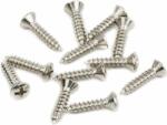Fender 0015578049 pickguard screws 12pcs, nickel