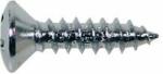 Boston TS-01-C screw, 3x12mm, 12pcs, oval countersunk, tapping, for pickguard, chrome