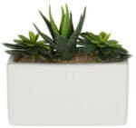 Home Styling Collection Plante artificiale in ghiveci ceramica SUCULENTE, 15 x 8 x 14 cm (321000120-whiteanddarkgreen)