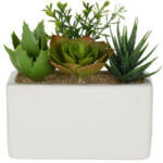 Home Styling Collection Plante artificiale in ghiveci ceramica SUCULENTE, 15 x 8 x 14 cm (321000120-whitewithred)