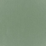  Mocheta Expo culoare Almond Green - Pantone 16-0110TPG 100 Mp (MG-16-0110TPG)