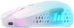 Xtrfy MZ1W-RGB-WHITE-TP Mouse