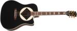 Gibson Jerry Cantrell Songwriter Ebony