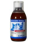 Alfavet RECONVALES ENERGY, Alfavet, 180ML