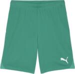 PUMA Sorturi Puma teamGOAL Shorts - Verde - XXL