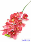 Cymbidium orchidea 10 fejes 75cm - Rózsaszín