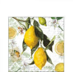 Ambiente AMB. 12514990 Lemon papírszalvéta 25x25cm, 20db-os (871215916774o)