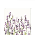 Ambiente AMB. 12515985 Lavender Shades white papírszalvéta 25x25cm, 20db-os (8712159177329)