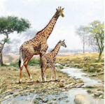 Ambiente AMB. 13314070 Giraffes papírszalvéta 33x33cm, 20db-os (8712159162172)