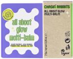 Chasin' Rabbits Uniwersalny balsam nawilżający w sztyfcie - Chasin' Rabbits All About Glow Multi-Balm 7.5 g
