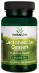 Swanson - Probiotic Lactobacillus Gasseri, 60 capsule 60 capsule - hiris