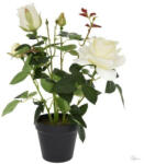 Bloomi Selyemvirág rózsabokor műanyag kaspóban műanyag 41cm fehér @ (DD61177)