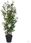 Bloomi Selyemvirág rózsabokor műanyag kaspóban műanyag 167cm barack @ (DD56023)