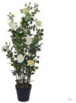 Bloomi Selyemvirág rózsabokor műanyag kaspóban műanyag 167cm sárga @ (DD61194)