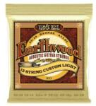 Ernie Ball 2013 Coarde chitară acustică, Earthwood 12 coarde Custom Light, Bronz, 10-48 (2013)