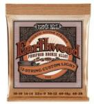 Ernie Ball 2152 Coarde chitară acustică, Earthwood 12 coarde Custom Light, Fosfor bronz, 10-48 (2152)