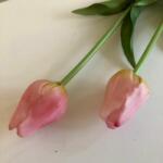 Kreatív Tulipán klasszikus szálas világos rózsaszín élethű nagy virágú