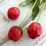 Kreatív Tulipán szálas telt virágú piros élethű