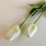 Kreatív Tulipán klasszikus szálas fehér élethű nagy virágú