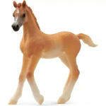 Schleich 13984 Arab csikó (SCH13984) - morzsajatekbolt