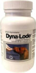  Dyna-Lode tabletta 50x - pawcity