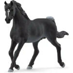 Schleich 13981 Arab csődör (SCH13981) - jatekbirodalom