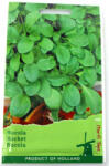 Holland Farming Seminte rucola (215-8711117259909)