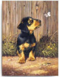 SMT Painting Royal 22x30cm Câine cu fluture (PJS51) Carte de colorat
