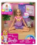 Mattel Păpușă Brb și Meditație De Dimineața Până Seara (hhx64) Papusa Barbie
