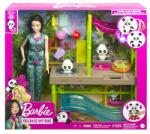 Mattel Barbie PANDA RESCUE PLAY SET (HKT77) Papusa Barbie