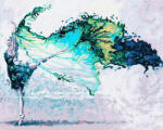 Ipicasso Set pictura pe numere, cu sasiu, Dansul apei, 40x50 cm (PC4050544) Carte de colorat