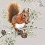 Ambiente Szalvéta karácsonyi 25x25cm Squirrel In Winter 20db-os