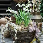 Karácsonyi Szalvéta karácsonyi 33x33cm Snowdrops In Basket Szalvéta 20db-os