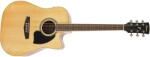Ibanez PF15ECE-NT