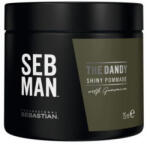 Sebastian Professional Seb Man The Dandy Pomade 75 ml